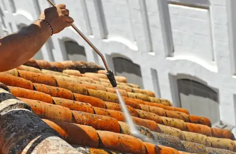 Nettoyage de toitures - Trieux